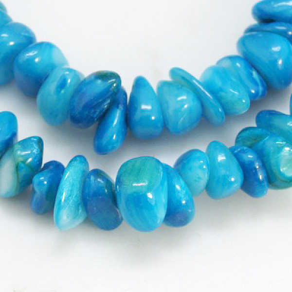 Natural Shell Beads Strands