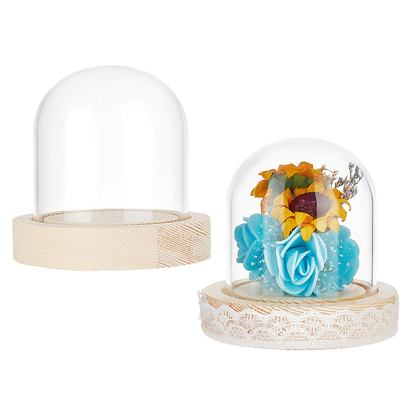 PandaHall Glass Dome Cover, Decorative Display Case, Cloche Bell Jar Terrarium with Wood Base, for DIY Preserved Flower Gift, Clear, 77x74mm...