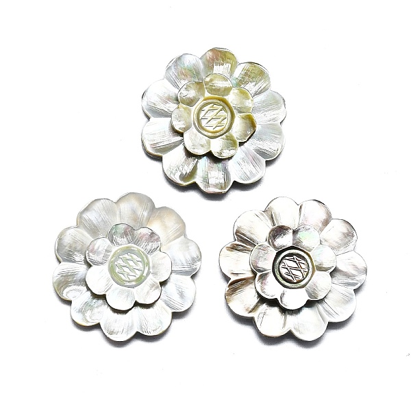 

PandaHall Natural Shell Cabochons, Flower, Seashell Color, 29x4~6mm Shell Flower White