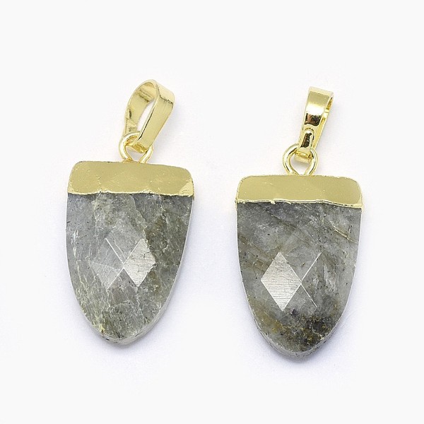 

PandaHall Natural Labradorite Pendants, with Long-Lasting Plated Brass Findings, Faceted, Scabbard, Golden, 18~19x11x5mm, Hole: 4x6mm...