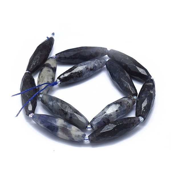 

PandaHall Natural Iolite Beads Strands, Faceted, Rice, 29~33x9~10mm, Hole: 1mm, about 13~14pcs/strand, 15.3 inch~15.7 inch(39~40cm) Iolite...