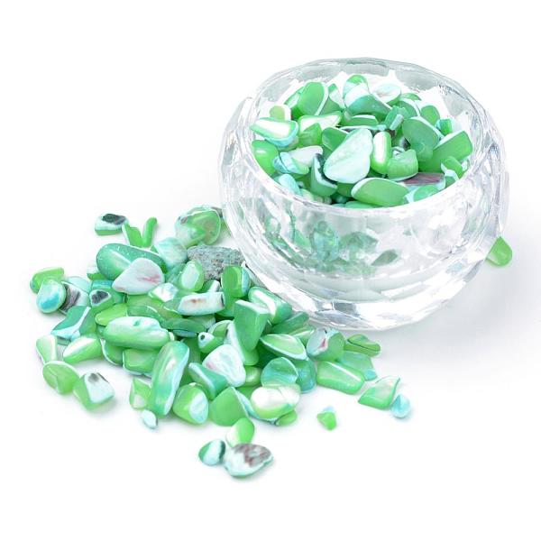 

PandaHall Natural Sea Shell Beads, No Hole, Dyed, Chip, Light Green, 2~15x2~10x1~5mm Other Sea Shell Chip Green
