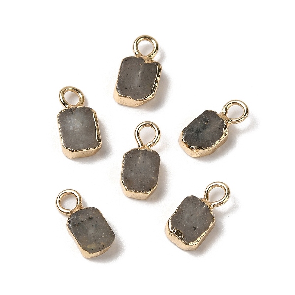 

PandaHall Natural Labradorite Rectangle Charms, with Golden Tone Brass Edge, 9.5x5x2.5mm, Hole: 2mm Labradorite Rectangle