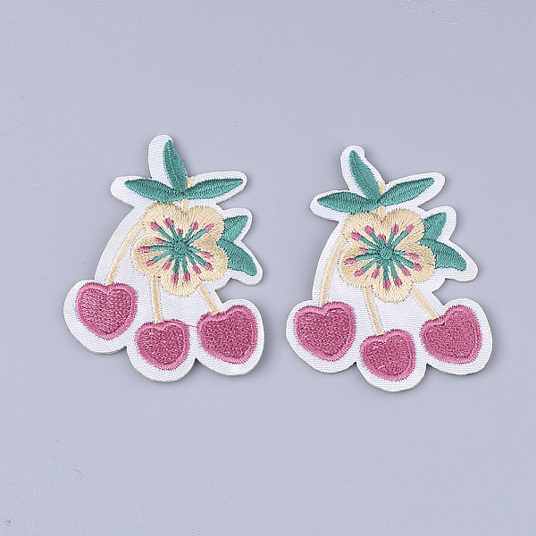 PandaHall Computerized Embroidery Cloth Iron on/Sew on Patches, Appliques, Costume Accessories, Fruit, Colorful, 58x43x2mm Cloth Fruit