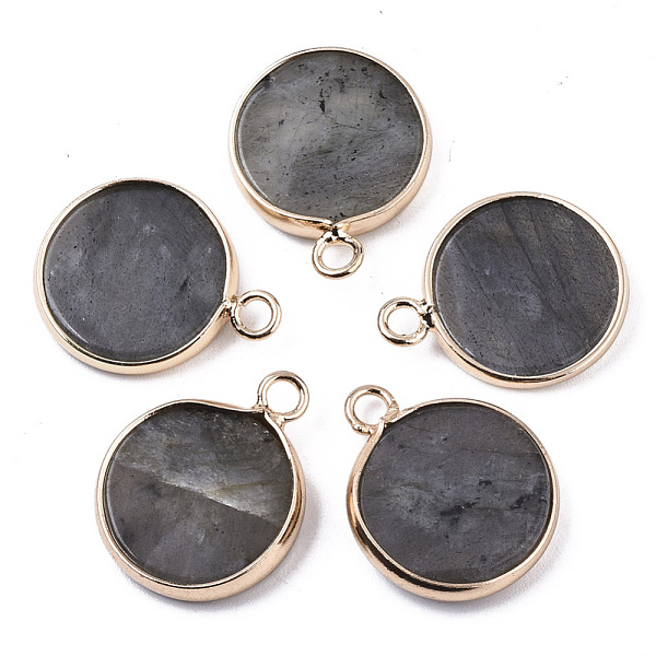 

PandaHall Natural Labradorite Pendants, with Light Gold Plated Brass Edge, Flat Round, 20x16.5x3~4mm, Hole: 2.5mm Labradorite Flat Round