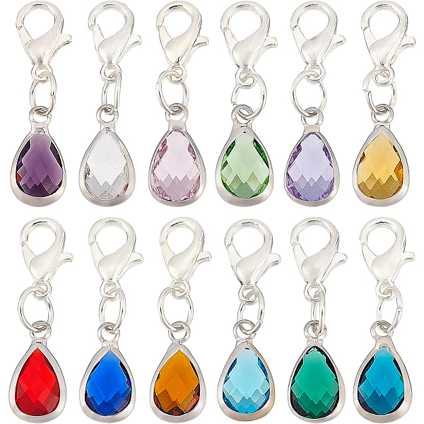

PandaHall BENECREAT 12Pcs 12 Colors Teardrop Faceted Glass Zipper Pull Pendants Decoration, with Zinc Alloy Lobster Claw Clasps for DIY..., Multicolor