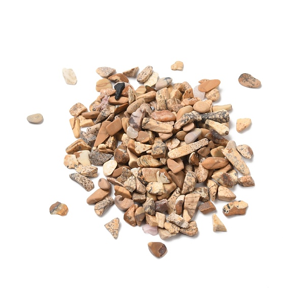 

PandaHall Natural Picture Jasper Chips, 4~8x3~4.5x2~4mm, about 14000pcs/1000g Picture Jasper Chip