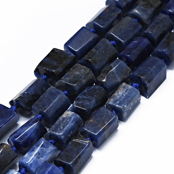 

PandaHall Natural Sodalite Beads Strands, Cuboid, 11~13x6~8x6~8mm, Hole: 0.7mm, about 28~31pcs/strand, 15.94''~16.93''(40.5~43cm) Sodalite...