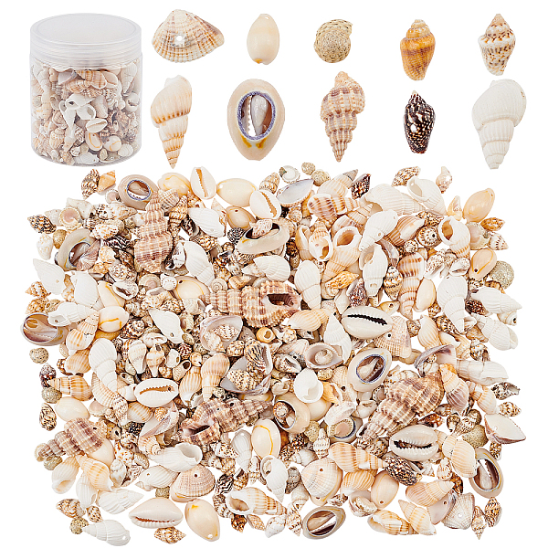 Natural Sea Shell B… - image
