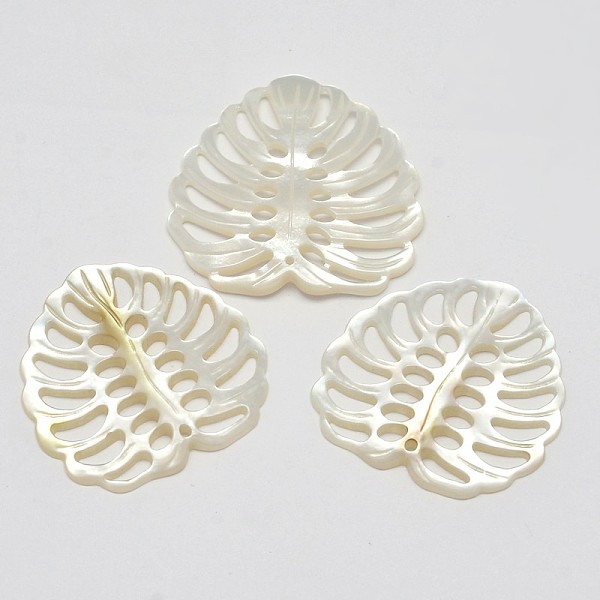 

PandaHall Natural Mother of Pearl Shell Pendants, Tropical Leaf Charms, Monstera Leaf, White, 28~31x28~30x2~3.5mm, Hole: 1.5~2mm White Shell...