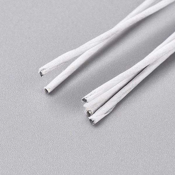 

PandaHall Paper Twist Ties, with Iron Core, Multifunctional Twist Plant Ties, for Plants Garden Office and Home, WhiteSmoke, 360x0.9mm Iron..., White