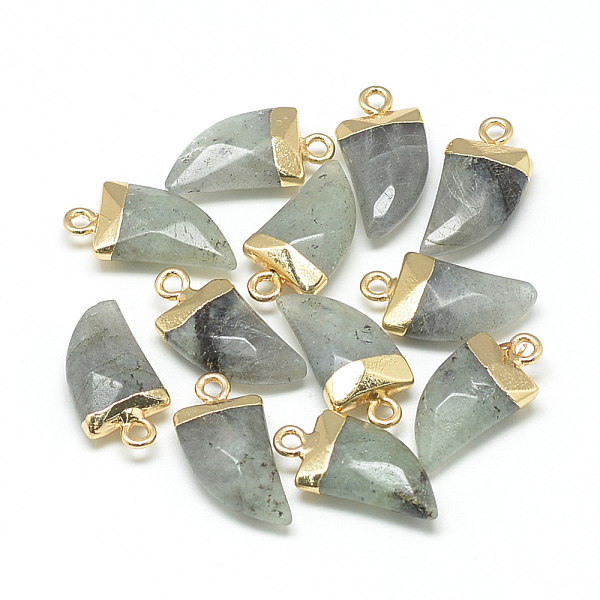 

PandaHall Natural Labradorite Pointed Pendants, with Brass Findings, Faceted, Tusk Shape, Golden, Light Grey, 21x11x5.5mm, Hole: 2mm..., Gray