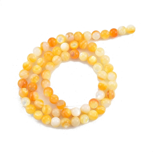 Natural Golden Yellow Shell Beads Strands