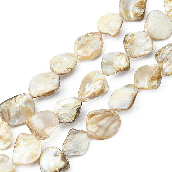 

PandaHall Handmade Shell Beads Strands, Rhombus, Goldenrod, Size: about 18-20mm long, 14-20mm wide, 3-12mm thick, hole: 1mm, about...