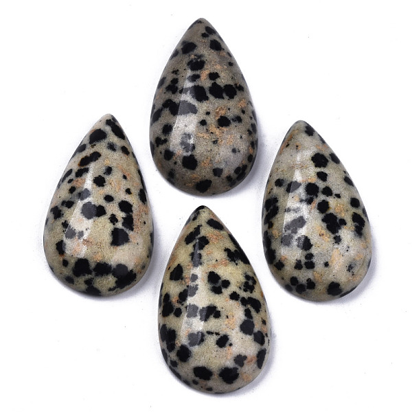 

PandaHall Natural Dalmatian Jasper Cabochons, Teardrop, 28~29x15~17x6~9mm Dalmatian Jasper Teardrop