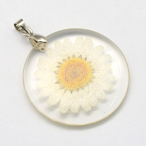 

PandaHall Alloy Resin Pendants, Flat Round, with Dried Flower inside, Platinum, Floral White, 32~32.5x4~4.5mm, Hole: 4x4mm Alloy+Resin Flat...
