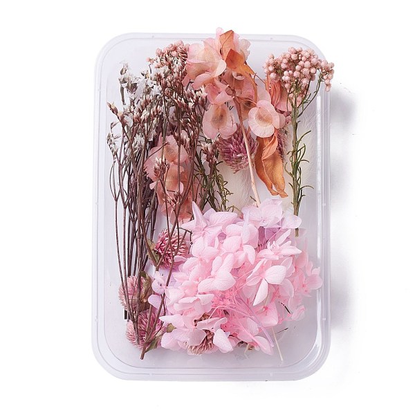 PandaHall Dried Flowers, DIY Candle Soap Making Accessories, with Plastic Rectangle Box, Pink, 2.2~15.5x1.7~7.6cm Dried Flower Pink