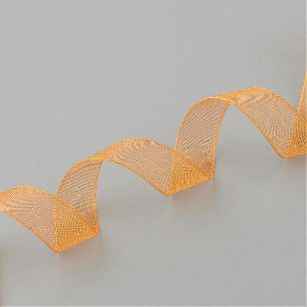 

PandaHall Sheer Organza Ribbon, DIY Material for Ribbon, Orange, 1/2 inch(12mm), 500yards(457.2m) Polyester None Orange