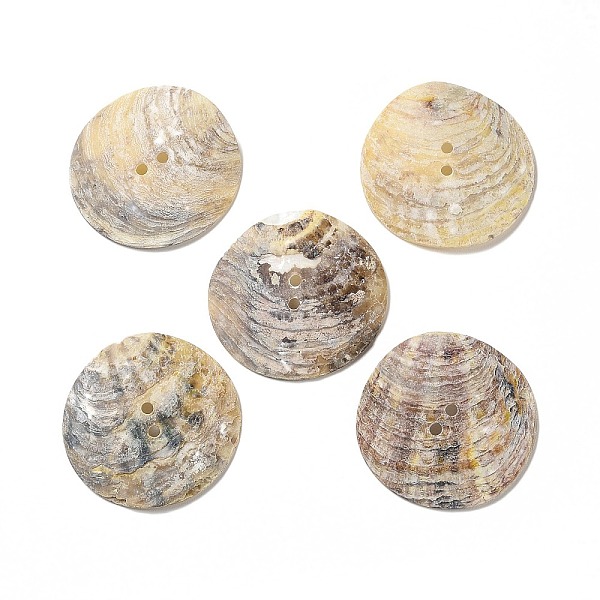 

PandaHall Mother of Pearl Buttons, Akoya Shell Button, 2-Hole, Shell Shape, Mixed Color, 35x35x4.7mm, Hole: 2mm Mother of Pearl Shell Shape..., Orange