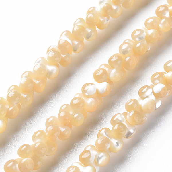 

PandaHall Natural Trochid Shell/Trochus Shell Bead Strands, Oval, 6x3mm, Hole: 0.8mm, about 173~174pcs/strand, 15.75 inch~16.34 inch...