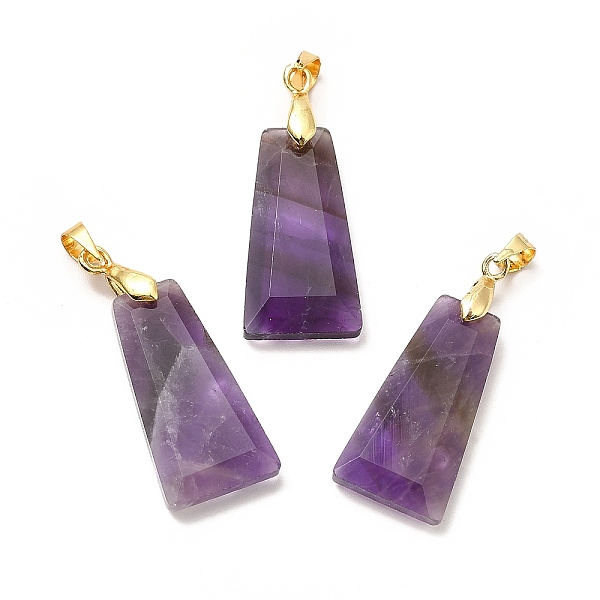 

PandaHall Natural Amethyst Pendants, Faceted Trapezoid Charms, with Rack Plating Golden Tone Brass Findings, Cadmium Free & Lead Free...