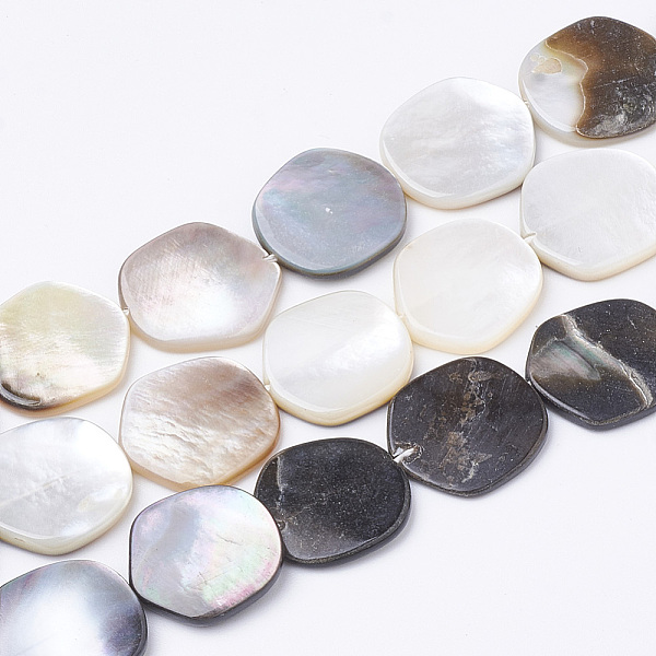 Black Lip Shell Bea… - image