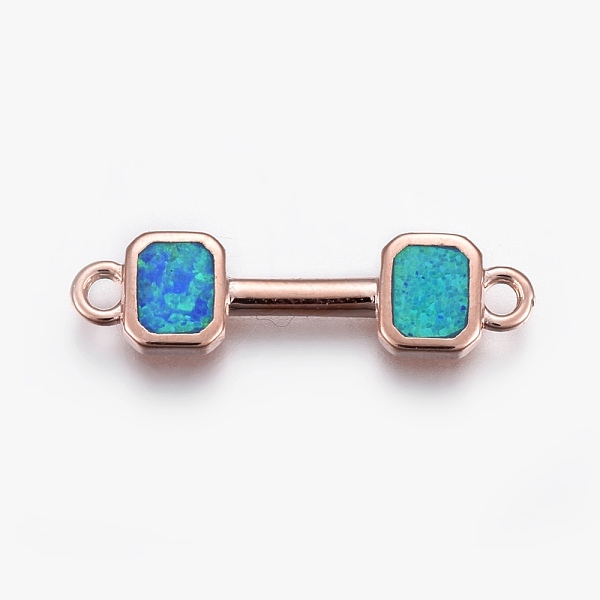 

PandaHall Sports Theme Synthetic Opal Links connectors, with Brass Findings, Dumbbell, Rose Gold, Mixed Color, 22.5x6x1.5mm, Hole: 1.5mm..., Multicolor