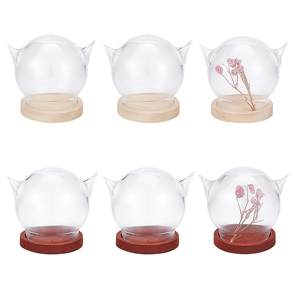 

PandaHall DELORIGIN 6 Sets 2 Colors Cat's Head Glass Dome Cover, Decorative Display Case, Cloche Bell Jar Terrarium with Wood Base, for DIY..., Multicolor