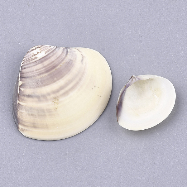 

PandaHall Clam Shell Beads, Undrilled/No Hole Beads, BurlyWood, 23~39x27~44x6~10mm Other Sea Shell Shell Shape Orange