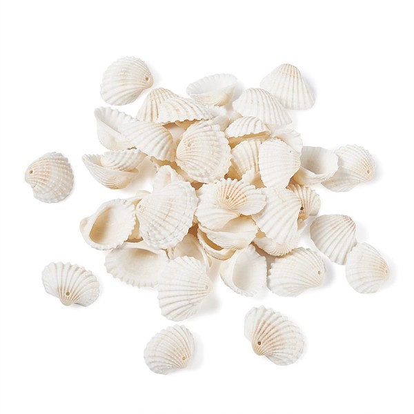 

PandaHall Shell Pendants, 21.5~24.5x27~30.5x8.5~11.5mm, Hole: 1.5~1.6mm, about 80~100pcs/box Other Sea Shell Shell Shape