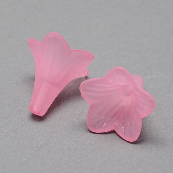 

PandaHall Transparent Acrylic Beads, Frosted Style, Petunia, Pink, 22x22mm, Hole: 2mm, about 344pcs/500g Acrylic Flower Pink