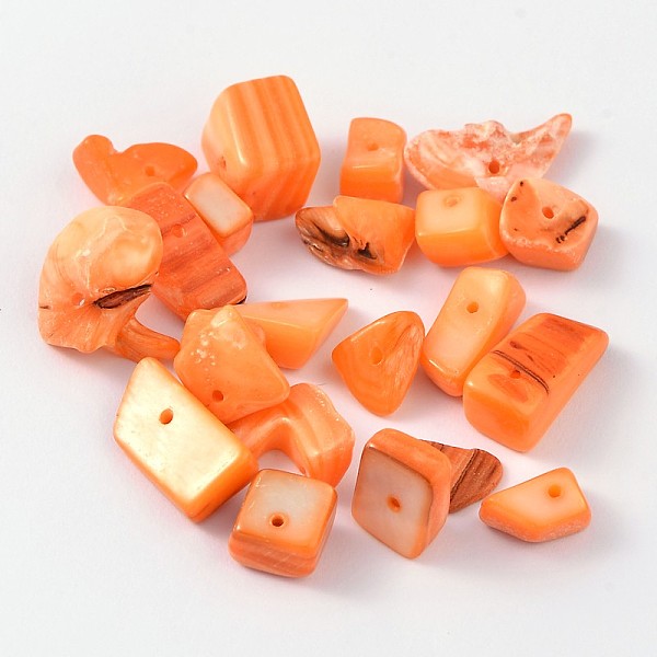 Natural Freshwater Shell Chips Beads