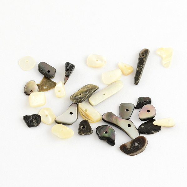 

PandaHall Natural Black Lip Shell Chips Beads, Shell Shards, Black, 6~16x1~6x2~4.5mm, Hole: 1mm Black Lip Shell Chip Black