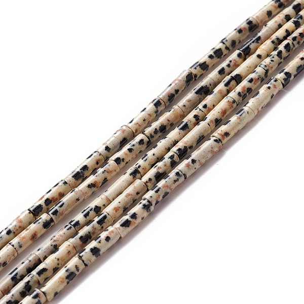 

PandaHall Natural Dalmatian Jasper Beads Strands, Column, 9~10.5x3mm, Hole: 0.9~1mm, about 40~43pcs/strand, 15.35 inch~15.55 inch(39~39.5cm)...