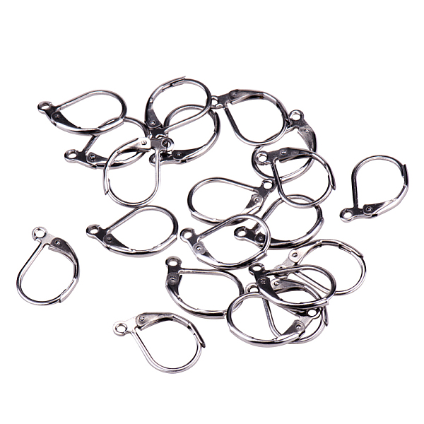 

PandaHall 20 Pcs 304 Stainless Steel Lever Back Earring Hooks Earwire with Open Loop 13x10.5mm for Jewelry Making 304 Stainless Steel