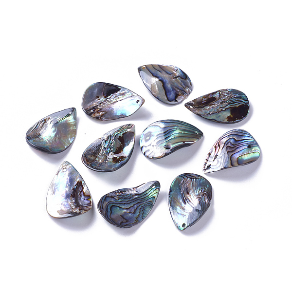 Natural Abalone She… - image