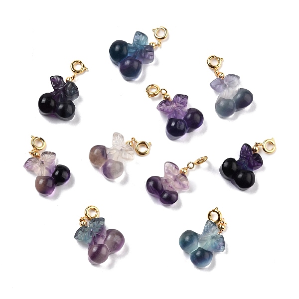 

PandaHall Natural Fluorite Carved Pendants, with Golden Plated Brass Findings, Cherry, 21x17x7~9mm, Hole: 3.7mm Fluorite Fruit