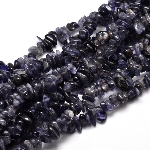 

PandaHall Natural Cordierite/Iolite/Dichroite Chip Beads Strands, 5~14x4~10mm, Hole: 1mm, about 15.5 inch~16.1 inch Iolite Chip