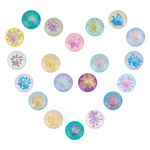 

PandaHall SUNNYCLUE Handmade Glass Flat Back Cabochons, Half Round/Dome, with Dried Flower, Mixed Color, 25x7mm, 20pcs/box Glass Heart..., Multicolor