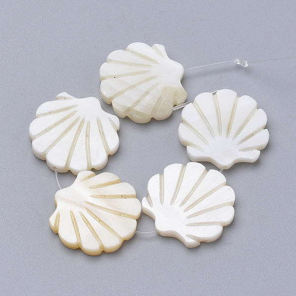 

PandaHall Natural Freshwater Shell Beads, for DIY Craft Jewelry Making, Scallop Shape, Creamy White, 17~19x18~20x3mm, Hole: 1mm Freshwater...