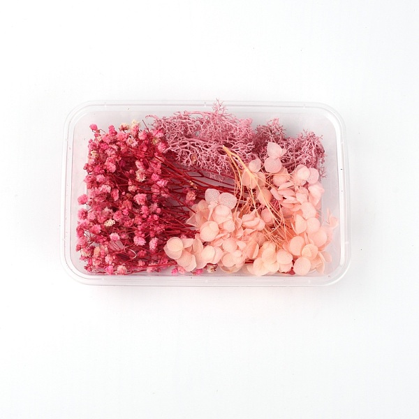 

PandaHall Dried Flower Material Package, for DIY Bride's Headgrade Garland Frame Group Fan Floating, Crimson, 117x170x28.5mm Dried Flower..., Pink