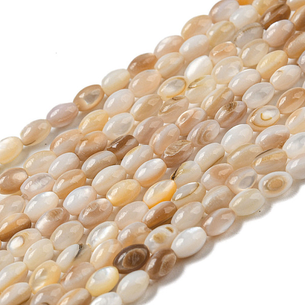 

PandaHall Natural Freshwater Shell Beads Strands, Oval, PeachPuff, 3x4~5mm, Hole: 0.5mm, about 75~78pcs/strand, 14.96~15.35''(38~39cm)..., Brown