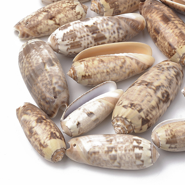 

PandaHall Spiral Shell Pendants, Sandy Brown, 38~57x17~22x13~18mm, Hole: 1mm Spiral Shell Others Brown