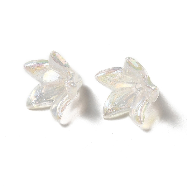 Transparent Acrylic Bead Caps