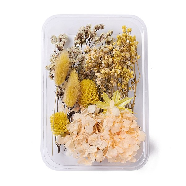 

PandaHall Dried Flowers, DIY Candle Soap Making Accessories, with Plastic Rectangle Box, Gold, Gold, 2.5~14x1.5~5.3cm Dried Flower Gold