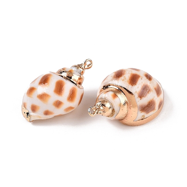 Natural Sea Shell Pendants