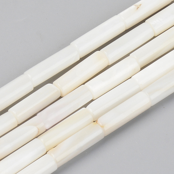 

PandaHall Natural Freshwater Shell Beads Strands, Column, Seashell Color, 12.5x4mm, Hole: 0.9mm, about 30pcs/strand, 14.96 inch(38cm)...