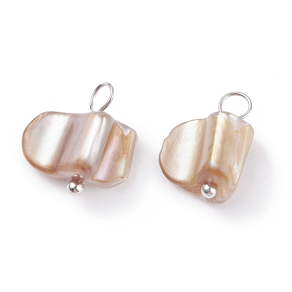 

PandaHall Natural Shell Charms, with Platinum Tone Brass Findings, Dyed, Mixed Color, 12~14x8.5~15x6~10mm, Hole: 2.5~3.6mm Freshwater Shell..., Multicolor