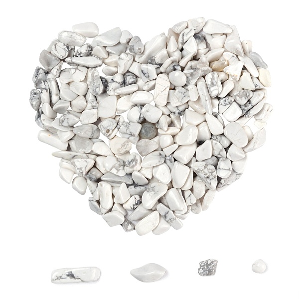 

PandaHall Natural Howlite Chip Beads, No Hole/Undrilled, 2~8x2~4mm, 50g, about 850pcs/set Howlite Chip