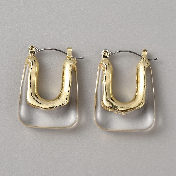 

PandaHall Acrylic Rectangle Hoop Earrings, Golden Alloy Jewelry for Women, Clear, 30x22x8mm, Pin: 0.8mm Acrylic Rectangle Clear